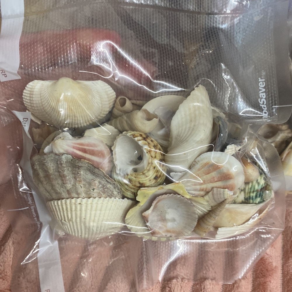Shells 🐚 and corks - Picture 5 of 16